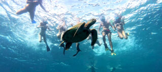 Snorkeling 3 Gili