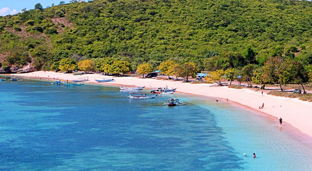 Pink beach Lombok