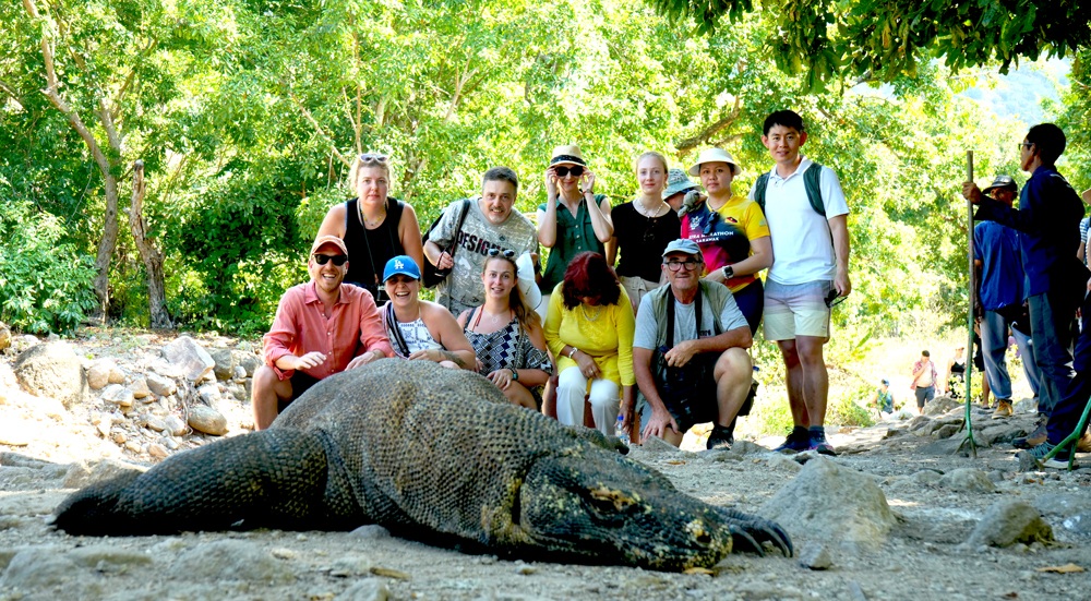 Komodo National Park - Komodo Dragon
