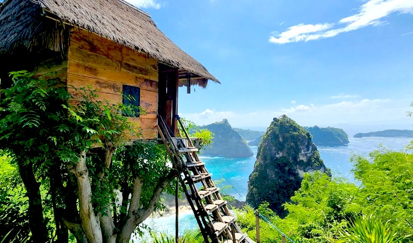 Tree House Nusa Penida Bali