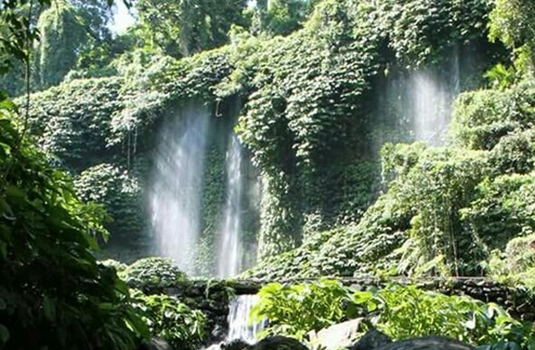 Benang Kelambu Waterfall Lombok - family friendly cruise excursions