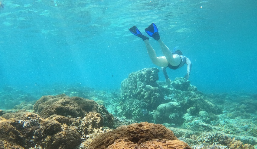 Snorkeling tour gili for cruise ships