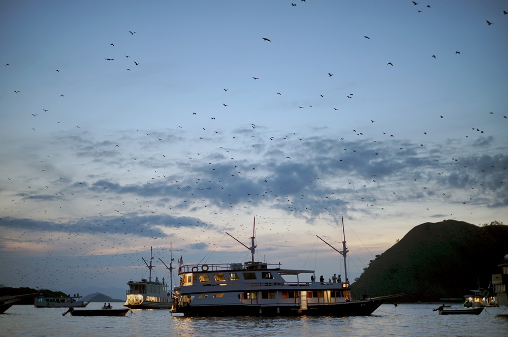 Kalong island - Sunset with Kalong views